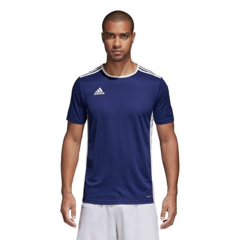 adidas entrada shirt