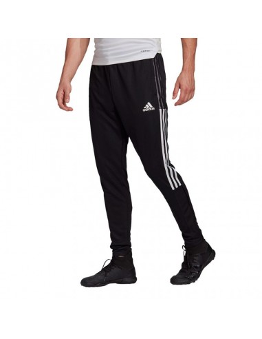 adidas Condivo 21 Primeblue Training Pants - Black | adidas Canada