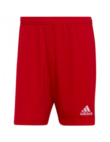 Adidas Entrada 22 M H61735 shorts