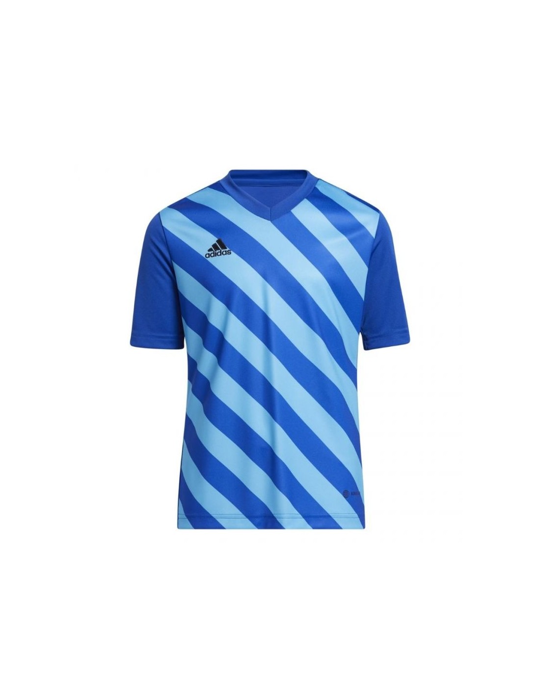 Adidas Entrada 22 Graphic Jersey Jr HF0130