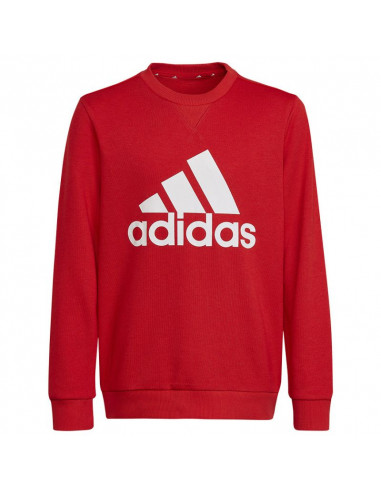 Sweatshirt adidas Big Logo Swt Jr HN1911